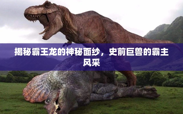 揭秘霸王龍的神秘面紗，史前巨獸的霸主風(fēng)采