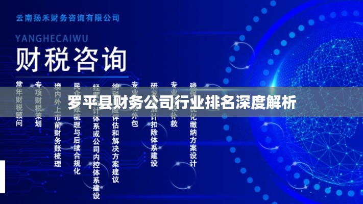 羅平縣財務(wù)公司行業(yè)排名深度解析