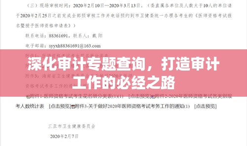 深化審計(jì)專題查詢，打造審計(jì)工作的必經(jīng)之路