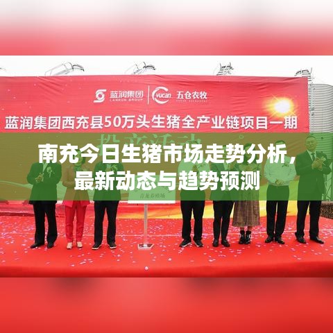 南充今日生豬市場走勢分析，最新動(dòng)態(tài)與趨勢預(yù)測