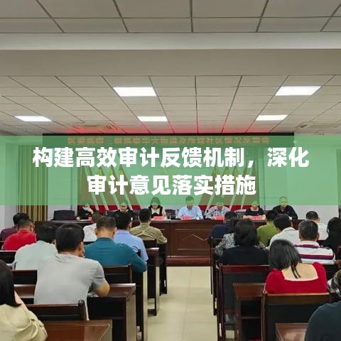 構(gòu)建高效審計反饋機(jī)制，深化審計意見落實措施