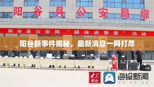 陽谷新事件揭秘，最新消息一網(wǎng)打盡
