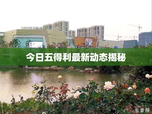 今日五得利最新動態(tài)揭秘