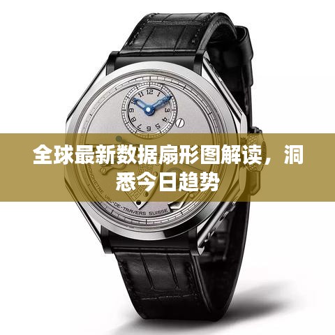 全球最新數(shù)據(jù)扇形圖解讀，洞悉今日趨勢