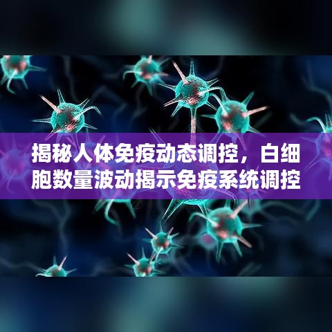 揭秘人體免疫動(dòng)態(tài)調(diào)控，白細(xì)胞數(shù)量波動(dòng)揭示免疫系統(tǒng)調(diào)控機(jī)制新發(fā)現(xiàn)
