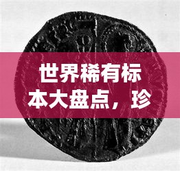 世界稀有標(biāo)本大盤點(diǎn)，珍貴收藏品排行榜