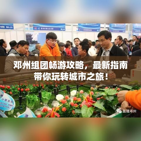 鄧州組團(tuán)暢游攻略，最新指南帶你玩轉(zhuǎn)城市之旅！