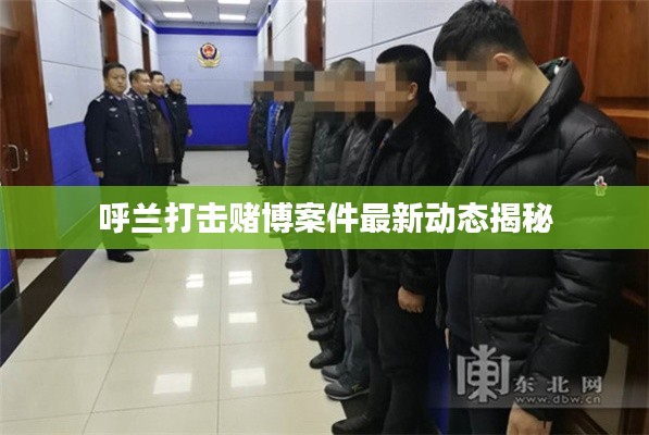 呼蘭打擊賭博案件最新動態(tài)揭秘