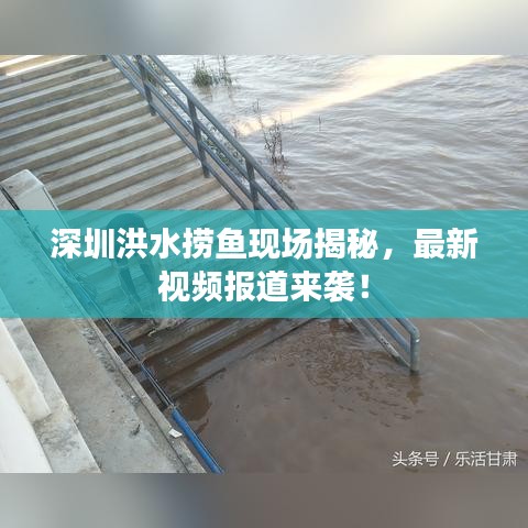 深圳洪水撈魚現(xiàn)場(chǎng)揭秘，最新視頻報(bào)道來襲！