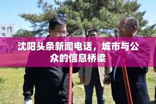 沈陽(yáng)頭條新聞電話，城市與公眾的信息橋梁