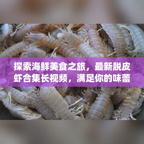 探索海鮮美食之旅，最新脫皮蝦合集長視頻，滿足你的味蕾冒險(xiǎn)！