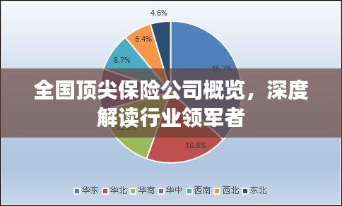 全國頂尖保險公司概覽，深度解讀行業(yè)領軍者