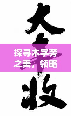 探尋木字旁之美，領(lǐng)略漢字森林的韻味
