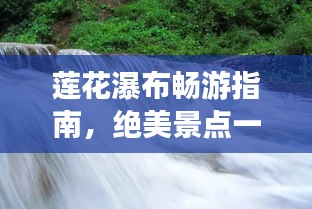 蓮花瀑布暢游指南，絕美景點一網打盡！