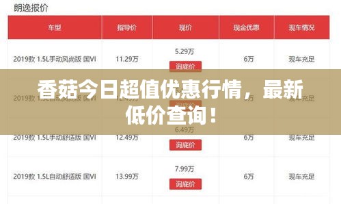 香菇今日超值優(yōu)惠行情，最新低價查詢！
