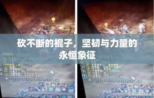 砍不斷的棍子，堅韌與力量的永恒象征