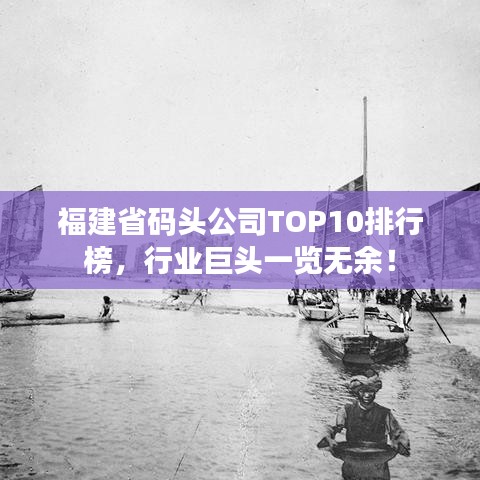 福建省碼頭公司TOP10排行榜，行業(yè)巨頭一覽無余！
