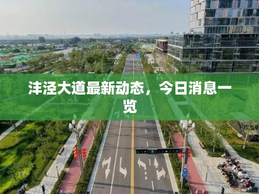 灃涇大道最新動態(tài)，今日消息一覽
