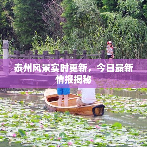 泰州風(fēng)景實(shí)時(shí)更新，今日最新情報(bào)揭秘