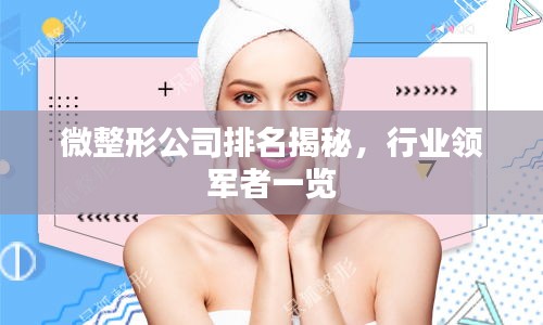 微整形公司排名揭秘，行業(yè)領(lǐng)軍者一覽