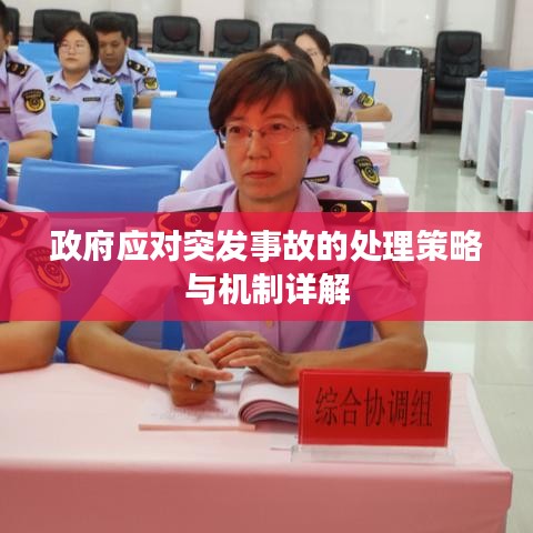 政府應(yīng)對突發(fā)事故的處理策略與機制詳解