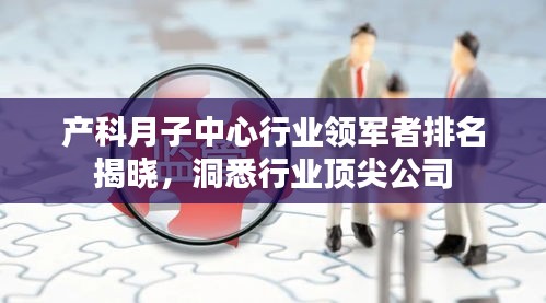 產(chǎn)科月子中心行業(yè)領(lǐng)軍者排名揭曉，洞悉行業(yè)頂尖公司