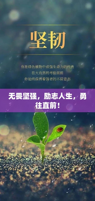 無畏堅強，勵志人生，勇往直前！
