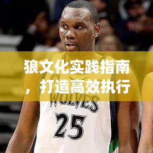 狼文化實踐指南，打造高效執(zhí)行團隊