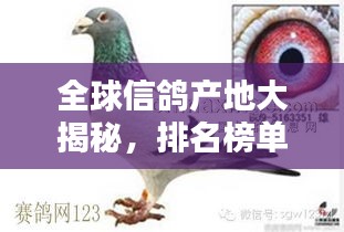 全球信鴿產地大揭秘，排名榜單不容錯過！