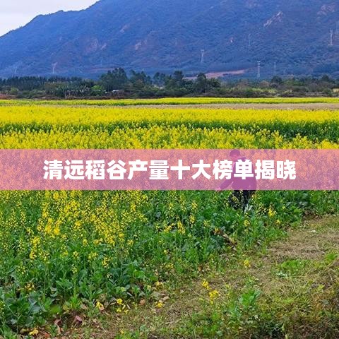 清遠稻谷產(chǎn)量十大榜單揭曉