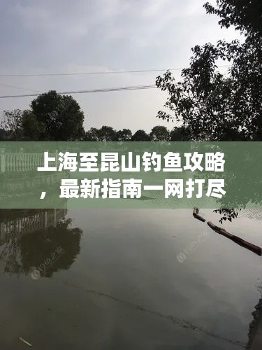 上海至昆山釣魚攻略，最新指南一網(wǎng)打盡！