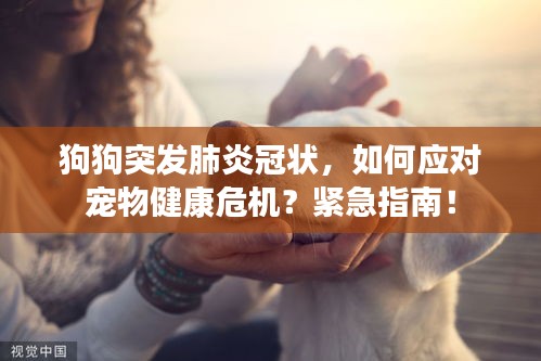 狗狗突發(fā)肺炎冠狀，如何應對寵物健康危機？緊急指南！