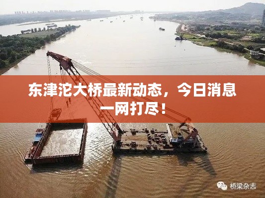東津沱大橋最新動態(tài)，今日消息一網(wǎng)打盡！