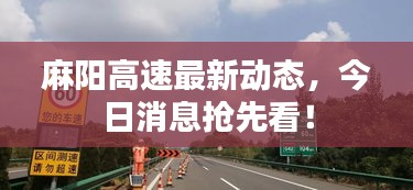 麻陽高速最新動態(tài)，今日消息搶先看！