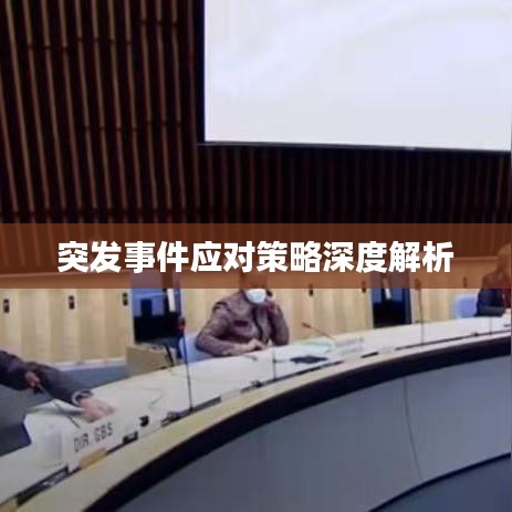 突發(fā)事件應(yīng)對策略深度解析