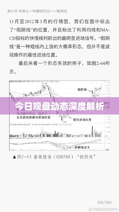 今日觀盤動態(tài)深度解析