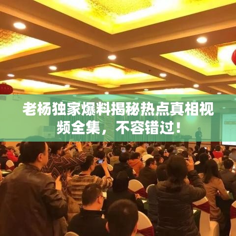 老楊獨(dú)家爆料揭秘?zé)狳c(diǎn)真相視頻全集，不容錯過！