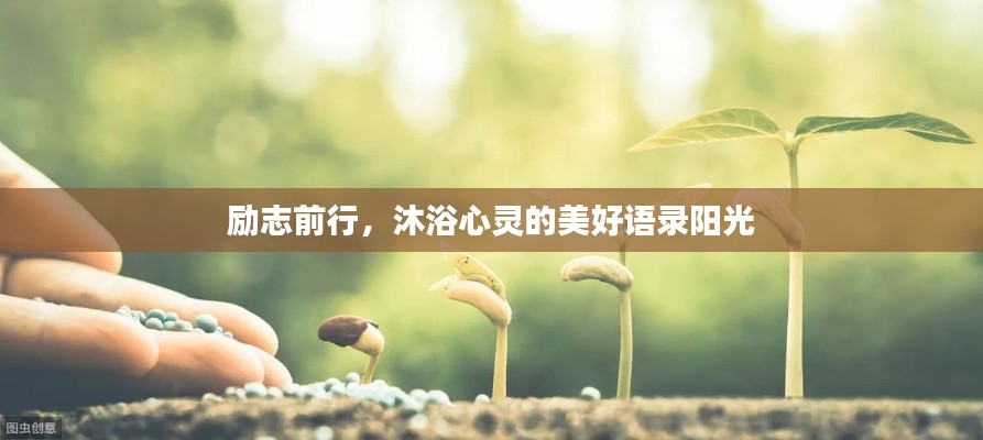 勵(lì)志前行，沐浴心靈的美好語錄陽光