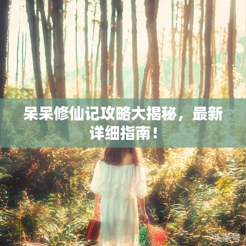 呆呆修仙記攻略大揭秘，最新詳細(xì)指南！