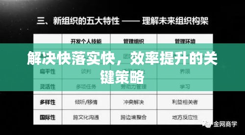 解決快落實(shí)快，效率提升的關(guān)鍵策略