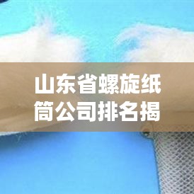 山東省螺旋紙筒公司排名揭曉，行業(yè)影響力不容小覷