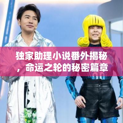 獨(dú)家助理小說番外揭秘，命運(yùn)之輪的秘密篇章獨(dú)家曝光