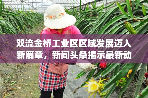 雙流金橋工業(yè)區(qū)區(qū)域發(fā)展邁入新篇章，新聞頭條揭示最新動態(tài)