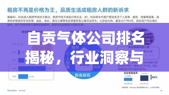 自貢氣體公司排名揭秘，行業(yè)洞察與深度分析