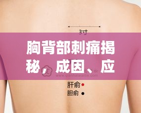 胸背部刺痛揭秘，成因、應(yīng)對與預(yù)防策略全解析