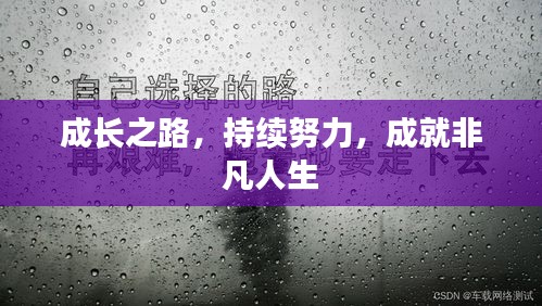 成長之路，持續(xù)努力，成就非凡人生