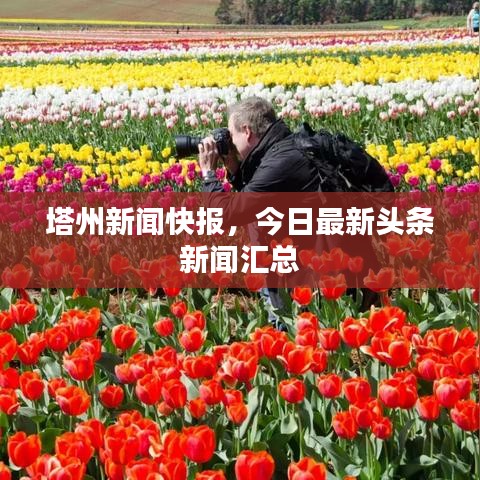 塔州新聞快報，今日最新頭條新聞匯總