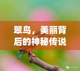 翠鳥，美麗背后的神秘傳說與故事探尋