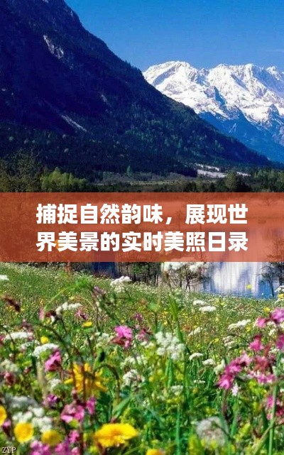 捕捉自然韻味，展現(xiàn)世界美景的實(shí)時(shí)美照日錄