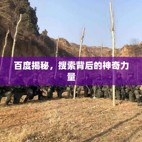 百度揭秘，搜索背后的神奇力量